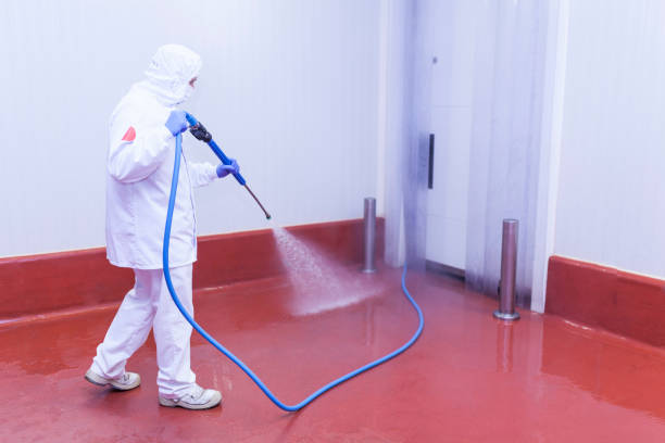 Best Solar Panel Cleaning  in La Habra, CA
